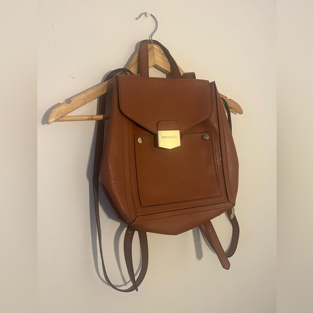 Steve Madden Bag
